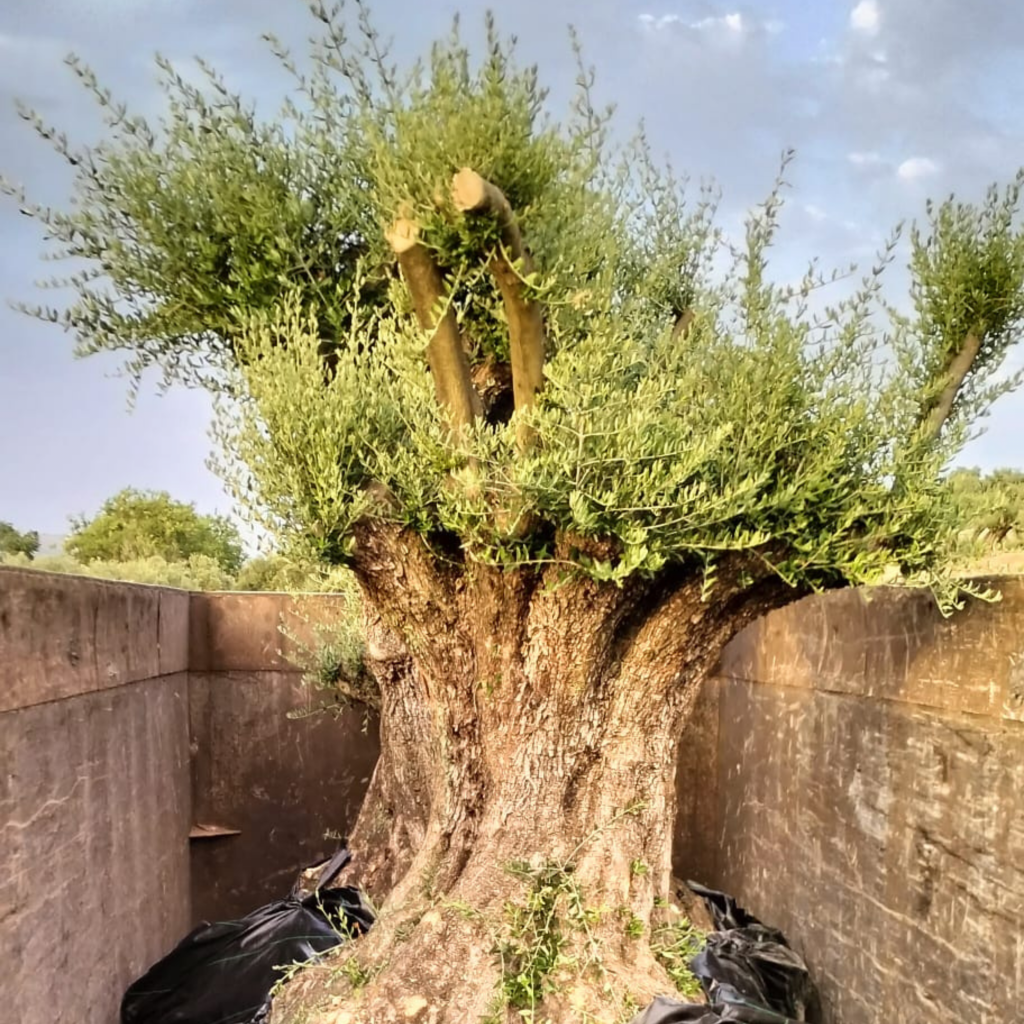 1_20250826_114226_0000