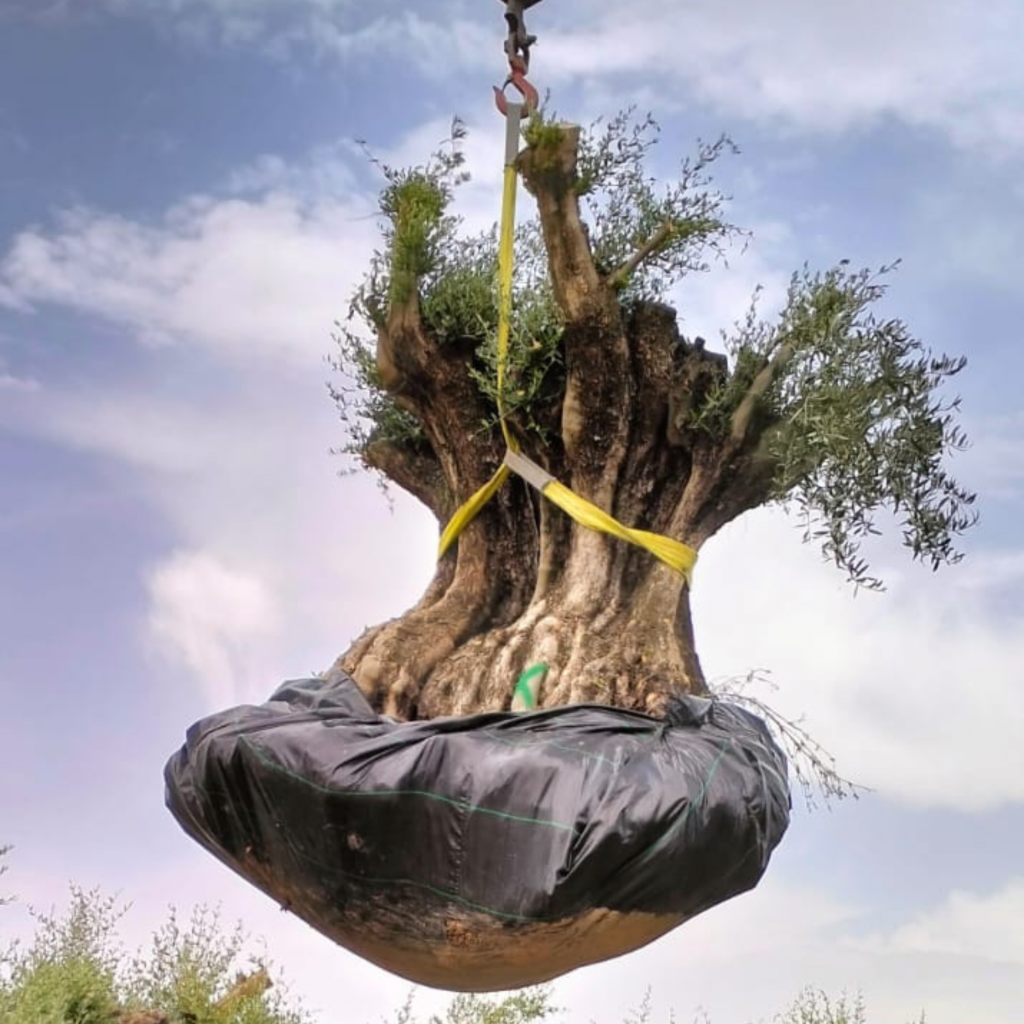 2_20250826_114226_0001