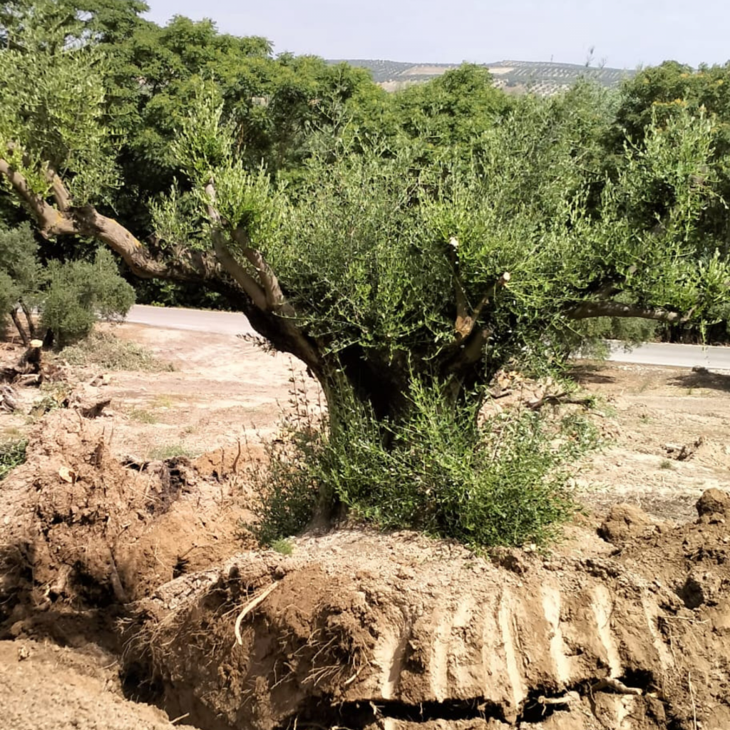 3_20250826_114226_0002