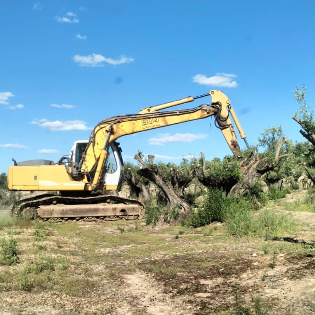 3_20250826_114842_0002